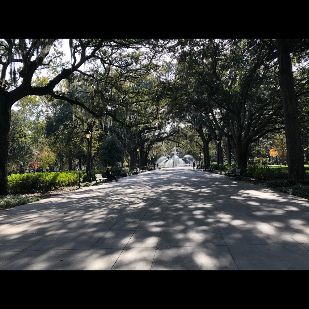 Welcome🙂 New exciting items are arriving.